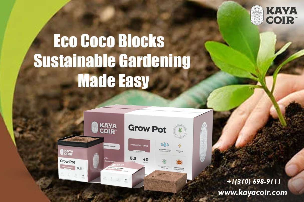 Eco Coco Blocks