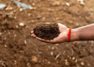 Coco Coir Substrate That Supports Every Growth Stage