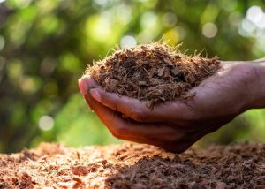 Compressed Coco Coir Block for Greenhouses