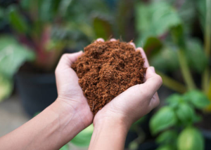Sustainable Gardening by Kaya Coir