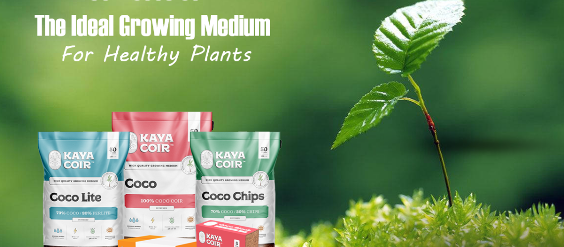 50 L Coco coir