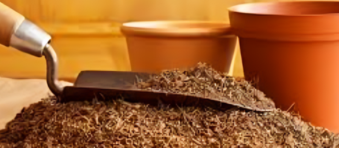 Coco Coir Substrate Enhances Root Health