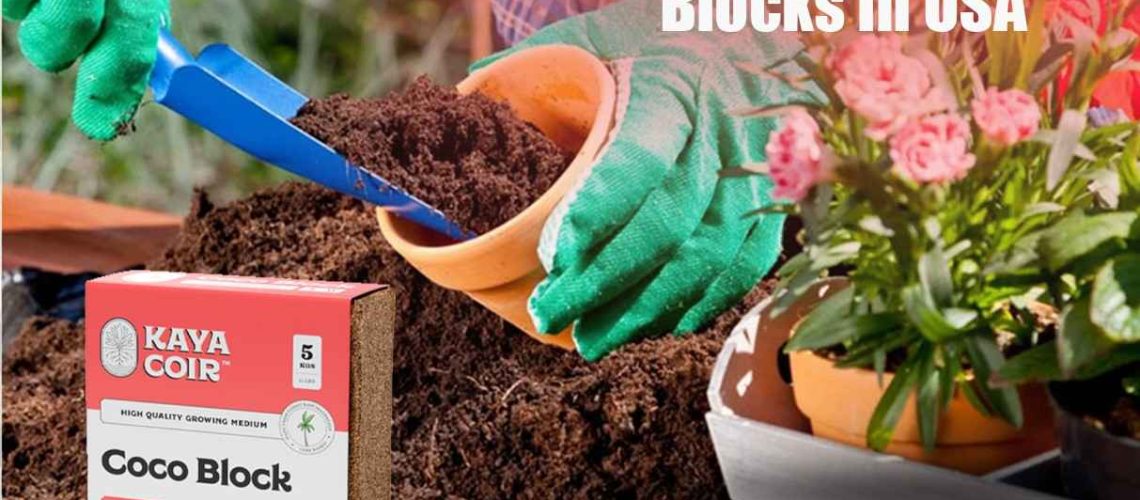 Coco coir blocks in USA