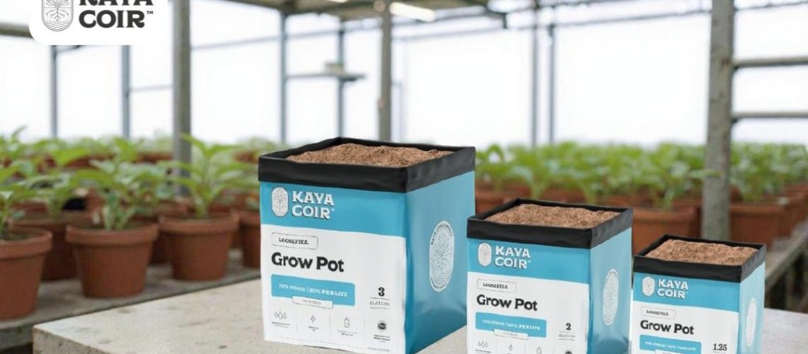 Coco coir cannabis