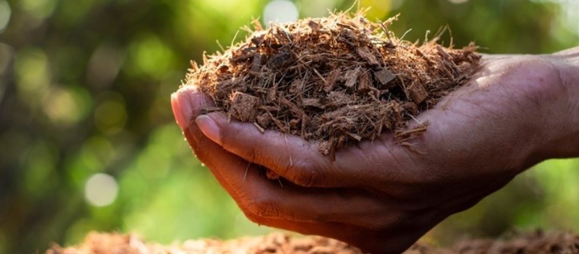 Compressed Coco Coir Block for Greenhouses