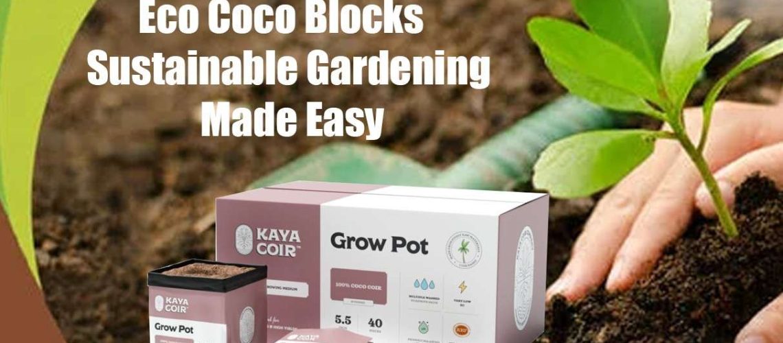 Eco Coco Blocks