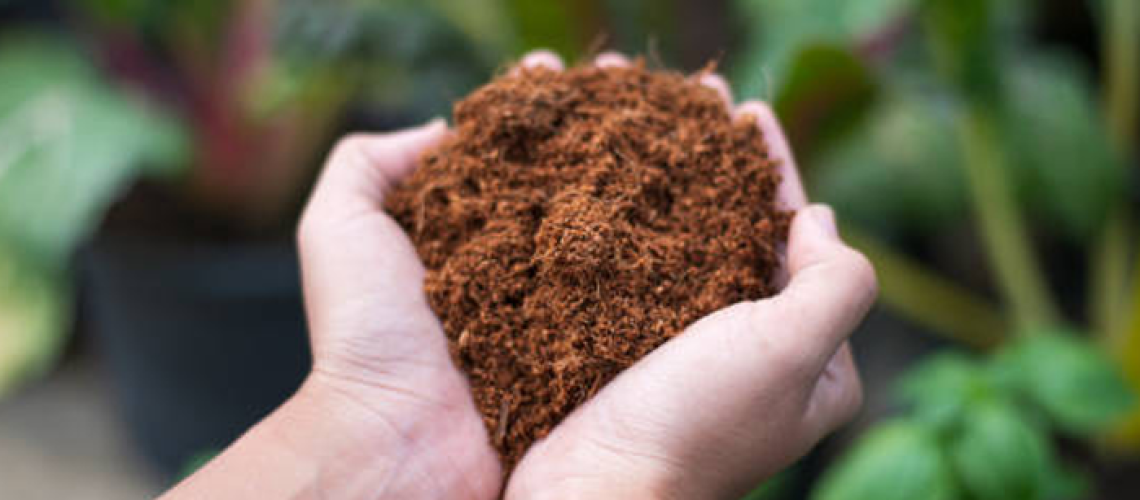 Sustainable Gardening by Kaya Coir