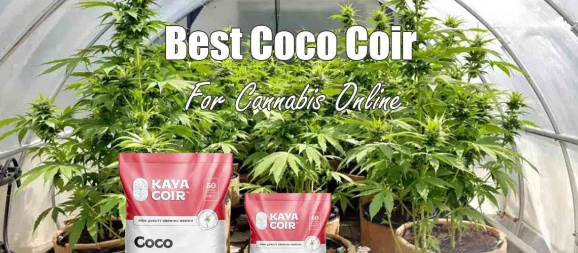 best coco coir for cannabis online