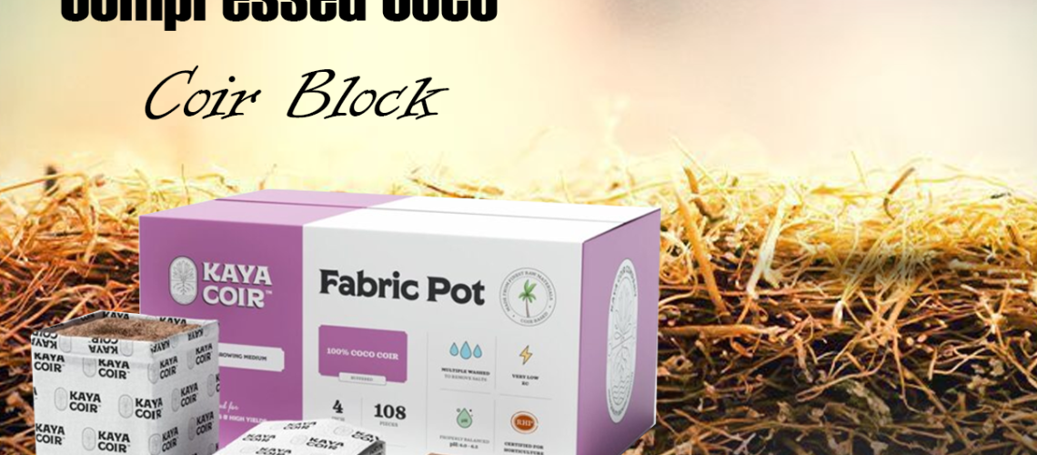 compressed coco coir block for sale